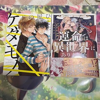 商業BL まとめ売り 24冊セット 匿名配送】商業BLコミック 24冊セット ボーイズラブ漫画 まとめ